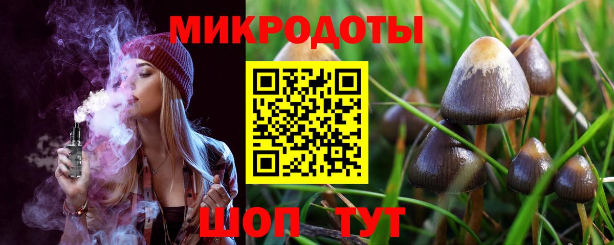 Псилоцибиновые грибы Psilocybine cubensis Нальчик