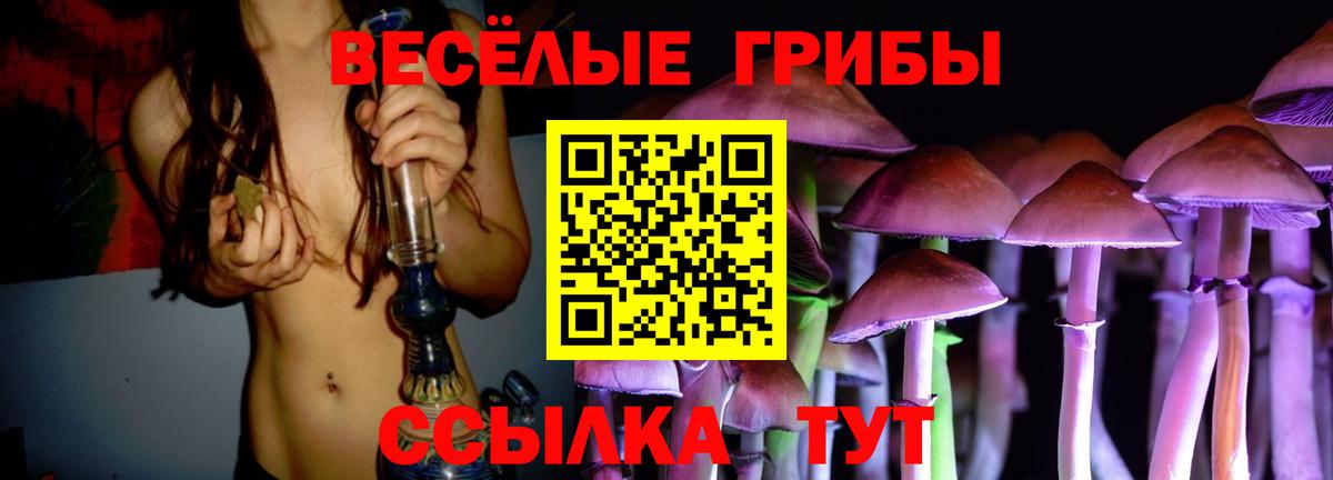 Нальчик  Псилоцибиновые грибы Psilocybine cubensis  Вход с VPN  Галлюциногенные грибы Magic Shrooms 